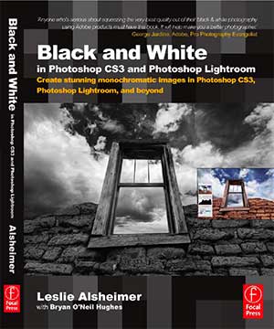ALsheimer_cover.jpg